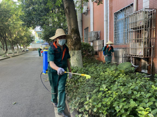 后勤物业管理服务中心集中开展蚊虫孳生地消杀行动