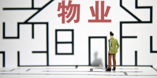 一手抓规模 一手 造富 百强物企市场占有率首次超五成