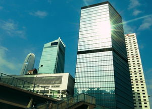 弘阳地产9月销售涨六成 累计销售438亿
