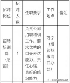 实习生 应届生 国企 华润置地海南物业公司2017年招聘简章