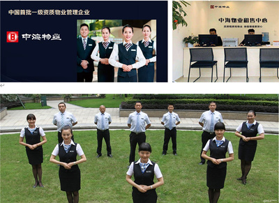 聚力谋发展 奋进开新局
