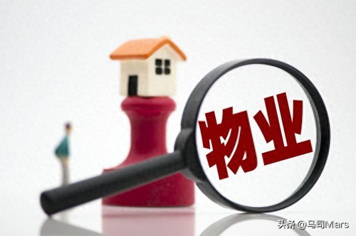 业主物业使用人应履行哪些职责 今日头条
