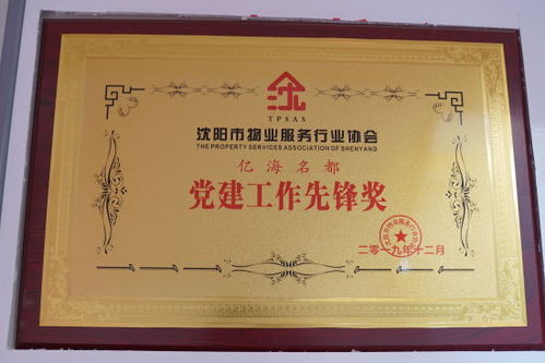辽宁中维物业管理亿海名都党支部