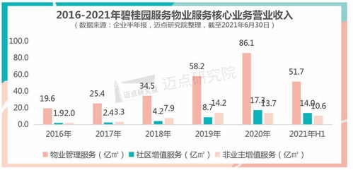 碧桂园服务：新物业时代下的品牌三甲引领者